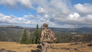 2020 Montana Elk Hunt Montage