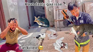 Shiv ne billi ko kabutr khila diye 😖 ( Cat killed all pigeons 😭) Shiv bhag gaya