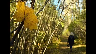 Осень. Город. Люди. Стихофотосушка.