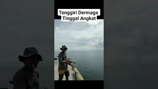 Tenggiri Dermaga, Tinggal Angkat