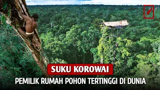 Suku Kanibal Indonesia⁉ Mengenal Lebih Dekat Suku Korowai di Pedalaman Papua _ Rumah Pohon Tertinggi