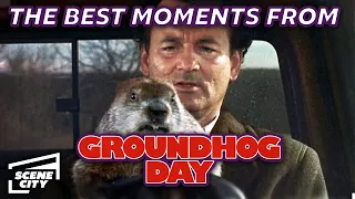 Rise and Shine…. It’s Groundhog Day! (Bill Murray, 1993)