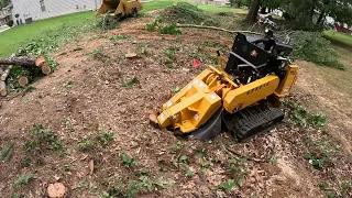 STUMP GRINDING WITH OUR NEW CARLTON SP6016TRX