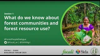 Focali – SIANI Dialogue: Impacts of the Pandemic on Forest Communities & Forests – Session 1 | SIANI