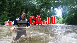 Kiếm Cá Ngày Lũ Từ Cơn Bão Số 7 | Lý Tử Lanh Vlogs