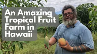 A Tour of a Tropical Fruit Tree Paradise