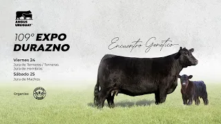 2023-02-24 Jura Angus - Expo Durazno 2023