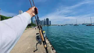 Downtown Chicago Lake Michigan Smallmouth Bass Fishing
