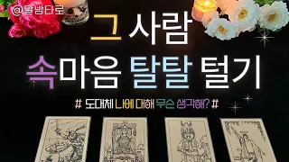 [달밤타로] 그사람 속마음 파헤치기/그사람 속마음 탈탈 털기(이별, 커플, 썸, 짝사랑, 재회)  #속마음타로