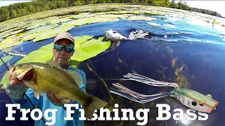 Frog Fishing Bass