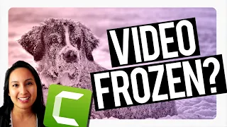 Camtasia 2021: Video is Freezing While Rendering Big Files