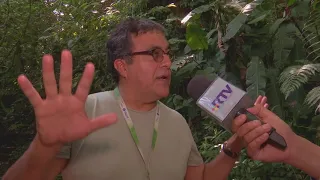 Abrazar un árbol, una actividad que ayuda a la salud