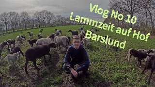 Farm-Vlog 10 Lämmerboom auf Hof Barslund