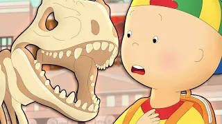 Caillou at the Dinosaur Museum | Caillou Cartoon