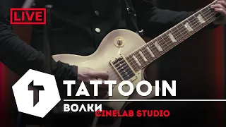 TattooIN - Волки (studio live)