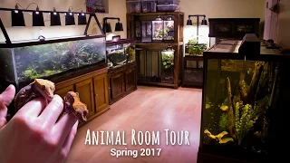 Animal Room Tour - Spring 2017 (Thanks for 40k Subs!)