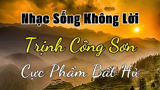 Nhạc Sống Không Lời Trịnh Công Sơn Cực Phẩm Bất Hủ | Hòa Tấu Guitar Nồng Nàn Say Đắm