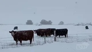 10-18-2020 Billings, MT area - Winter Storm impacting travelers on I-94