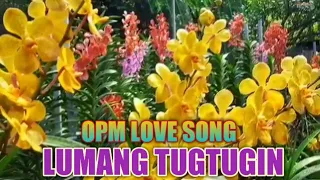 Mga Lumang Tugtugin 60s 70s 80's  l OPM Love Song l Nonstop