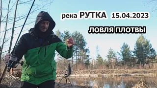 ВЕСЕННЯЯ ФИДЕРНАЯ РЫБАЛКА НА РЕКЕ РУТКА МАРИЙ ЭЛ  ЛОВЛЯ ПЛОТВЫ