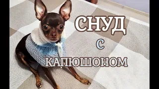 Снуд с капюшоном для собак и кошек спицами