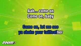 The Blues Brothers - Shake A Tailfeather - Karaoke Version from Zoom Karaoke
