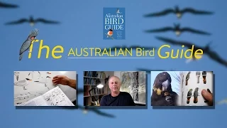 The Australian Bird Guide - interview with artists and authors