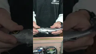 Savage Gear 8” Pulse Tail Mullet