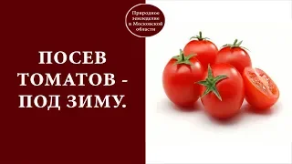 🍅УНИКАЛЬНЫЙ СПОСОБ ПОСЕВА ТОМАТОВ - ПОД ЗИМУ.🍅