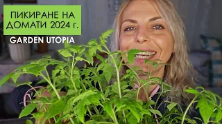 ПИКИРАНЕ на ДОМАТИ 2024 г.