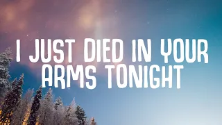 Fallen Roses, Mr. Pig, Andros - I Just Died In Your Arms Tonight (Lyrics) ft. LUNIS