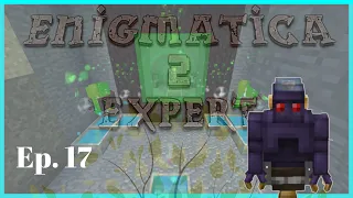 Enigmatica 2 Expert: Ep17 - Primal Mana and Wyvern Cores