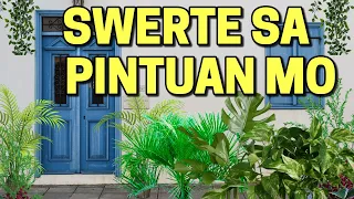 10 Halaman na Swerte sa Pintuan Mo! Magugulat ka sa resulta nito!!!