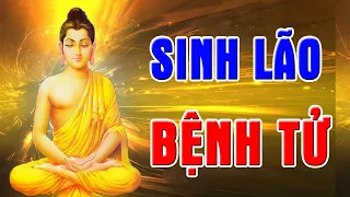 Lời Phật Dạy Về Sinh Lão Bệnh Tử - Cuộc Đời Là Vô Thường, Có Đáng Gì Để Ta Tranh Giành