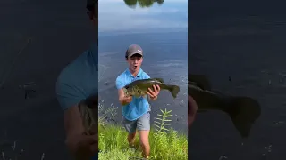 Kid Catches Big Fish In Tiny Pond!!!