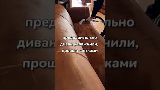 Химчистка велюрового дивана