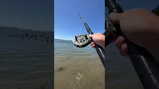 What would you catch with this?