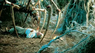 filme   de terror aranhas  assasina  aterrorizante completo dublado 😱