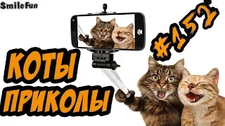 Приколы с котами - Озвучка котов и кошек - Смешные Коты 2018 - Funny Cats