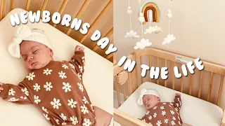 Day in the Life of a Newborn | 24 hours + exclusively breastfed