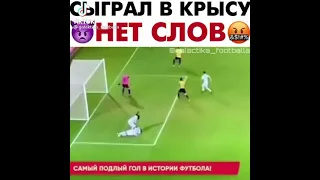 крыса футбол