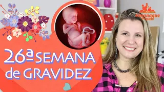 26ª SEMANA DE GESTAÇÃO | O Bebê, Dor Lombar, Desejos de Grávida | 2º TRIMESTRE DE GRAVIDEZ