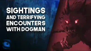 8 TRUE SCARY STORIES OF DOGMAN SIGHTINGS AND DOGMAN ENCOUNTERS - What Lurks Above