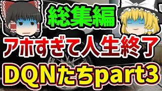 【総集編】【作業用】おバカすぎて人生終了したDQNたちまとめpart3【ゆっくり解説】