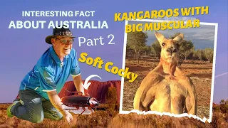 How well do you know Australia? (Part 2)