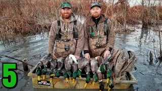 EPIC Marsh Duck Hunt on Public Land...BIG groups of Mallards!!