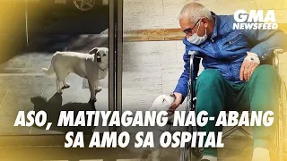 Aso, matiyagang nag-abang sa amo sa ospital | GMA News Feed