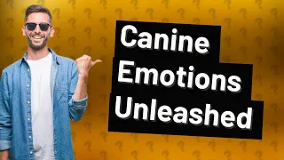 Do Dogs Experience Emotions Like We Do?