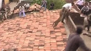 Leopard Charges at Rescue Workers in Central India