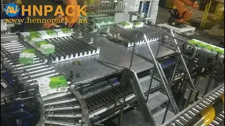 Fully layer robotic palletizing from hennopack solution